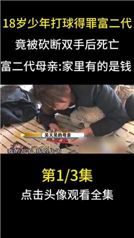 18岁少年打球得罪富二代,竟被砍断双手身亡,其母叫嚣公安局长她都能摆平#篮球#富二代#法律#高中生 (1)