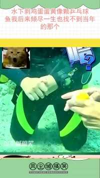 水下剥鸡蛋蛋黄像颗乒乓球，鱼我后来倾尽一生也找不到当年的那个