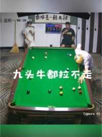 会飞都没用#这台球一打一个不吱声 #拿球说话 #招牌动作 #这操作都看傻了 #挑战全网极限杆法